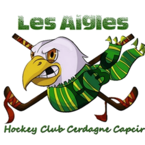 Aigles H3C Logo